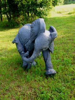 Ely baby Elephant Sculpture by Meg White