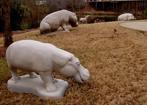 Hippo